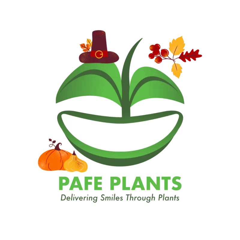 Online Plant Store | Shop Live Inventory